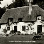 Milton Abbey