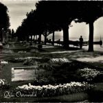 Neuchatel - Quai Osterwald