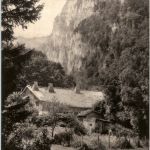 Le Ferme Robert et le dos d Ane