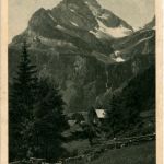 Braunwald