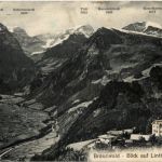 Braunwald
