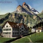Braunwald