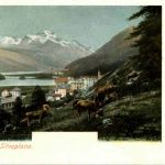 Campfer und Silvaplana