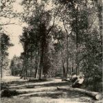 Le Touquet Paris Plage