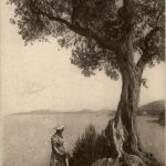 Un coin dew Beaulieu