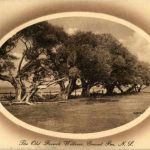 Grand Pre