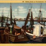 Cape Cod