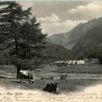 Cavaglia e Alpe Grüm