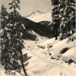 Winterstimmung im Wald