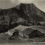 Pfingstboden mit Stockberg