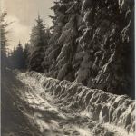 Winterzauber Unterwasser