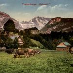 Toggenburger Heimetli