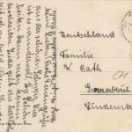 Beckenried - Alter Nussbaum