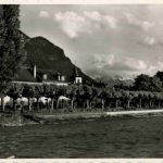 Villeneuve