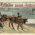 Lausanne - Exposition Agriculture 1910