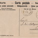 Vevey - Fete des Vignerons