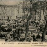 Dax - Le Marche aux Boeufs