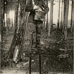 Au Pays Landais - Facteur faisant sa Tournee