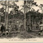 Au Pays Landais - La Pique et l amasse