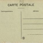 Au Pays Landais - Attelage de Boeufs