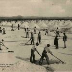 Salins du Midi