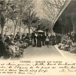 Cannes - Marche aux Fleurs
