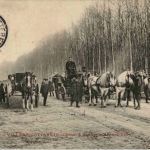 Villers Cotterets - Chasse a Courre - Jagd