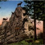 St. Gallen - Steinbockfelsen