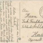 Oberaegeri mit Schafen