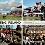 Dublin - Sporting Ireland Horse