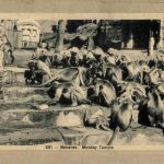 Benares - Monkey Temple