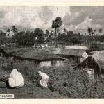 A Bengal village