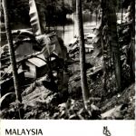 Kuala Lipis