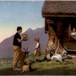 Appenzeller Tracht - Ziege