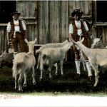 Appenzeller Gaisshirt - Sonderstempel Rückseite- Goat Ziege