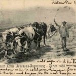 Zürich - Rudolf Koller Jubiläums Ausstellung 1898