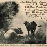 Zürich - Rudolf Koller Jubiläums Ausstellung 1898