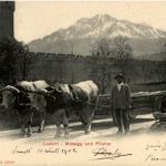 Luzern - Ochsenkarren