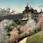 Weggis - Hotel Alpenblick