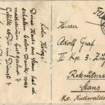 Arosa - Eichhörnchen