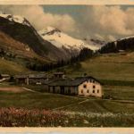 Sils