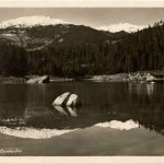 Flims