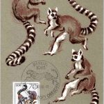 DDR Affen 70 Pfennig - Maximum Karte