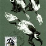 DDR Affen 20 Pfennig - Maximum Karte