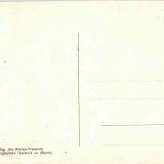 Schuhschnalbel - zoo Berlin