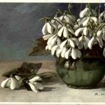 Künstlerkarte - A Haller