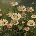 Künstlerkarte - A. Haller