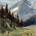 Künstlerkarte - Splitberger