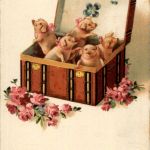 Schweine