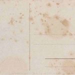 Künstlerpostkarte sign. W. Hasemann